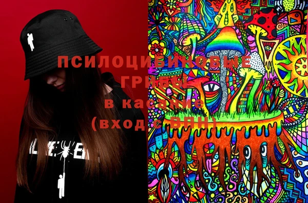 молекула духа Зерноград
